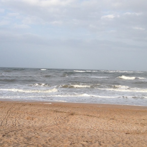 Meet your Posher, Ash - Picture 1 of 1